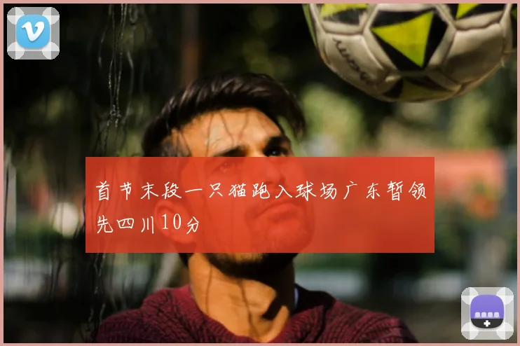 首节末段一只猫跑入球场广东暂领先四川10分