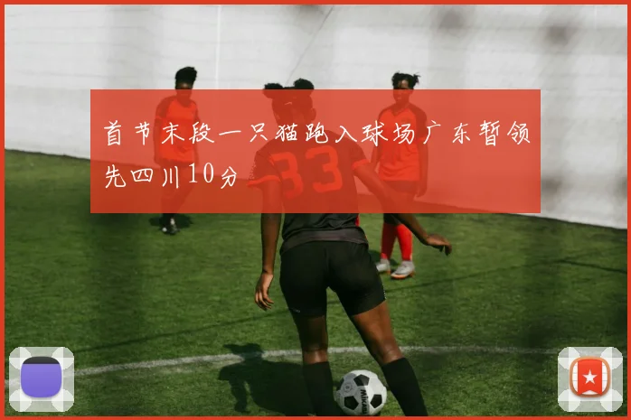 首节末段一只猫跑入球场广东暂领先四川10分