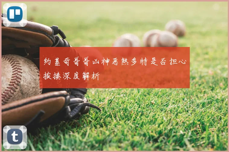 约基奇哥哥凶神恶煞多特是否担心挨揍深度解析