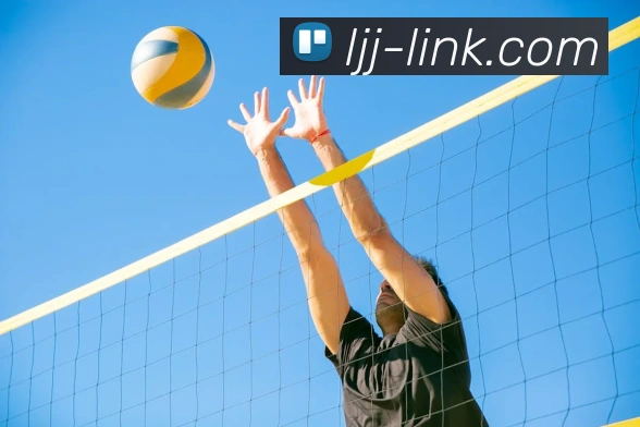 雷竞技官网 | 专业赛事预告、战队数据与专家点评中心平台生态图